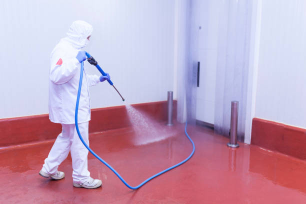 Best Roof Washing  in Forest City, IA